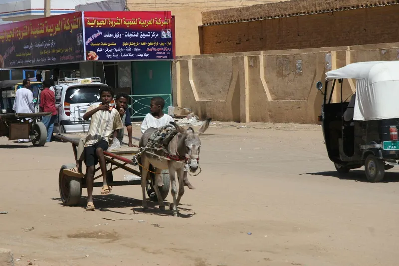 The Aswan High Dam Flooded Nubia and Displaced Its People