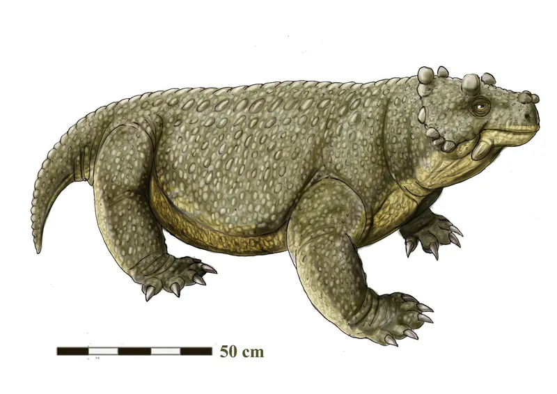 Bunostegos: The 260-Million-Year-Old, Impossibly Bumpy Reptile Found in Niger
