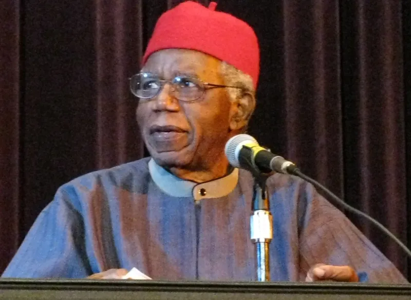 Chinua Achebe's Things Fall Apart: The Novel That Launched African Literature in English