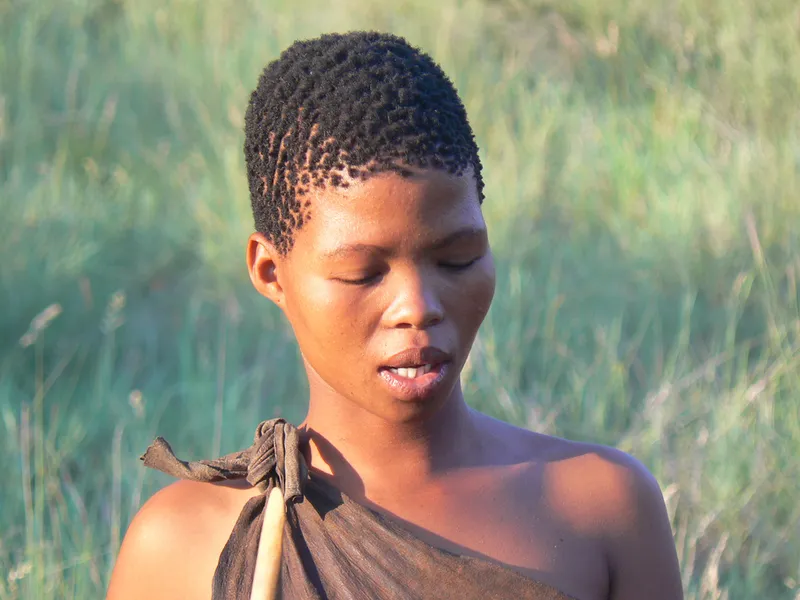 Did Human Language Begin in Southern Africa? A Contested 2011 Study