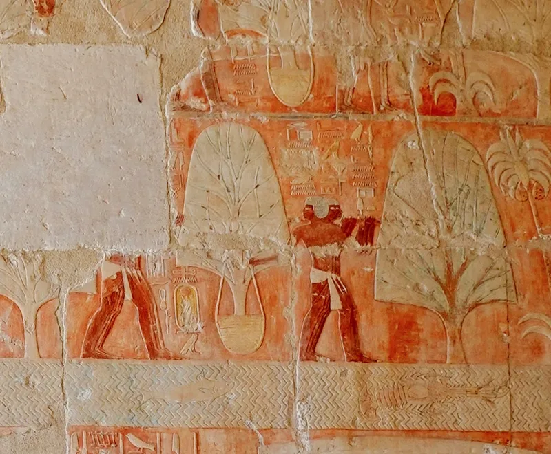 The Land of Punt: Egypt's Trading Partner That Modern Science Is Still Locating