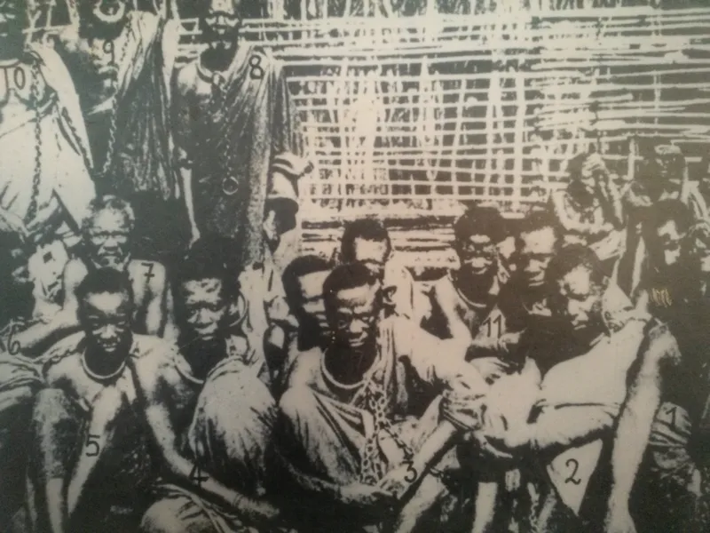 The Maji Maji Rebellion and Germany's Scorched-Earth Reprisal, 1905-07