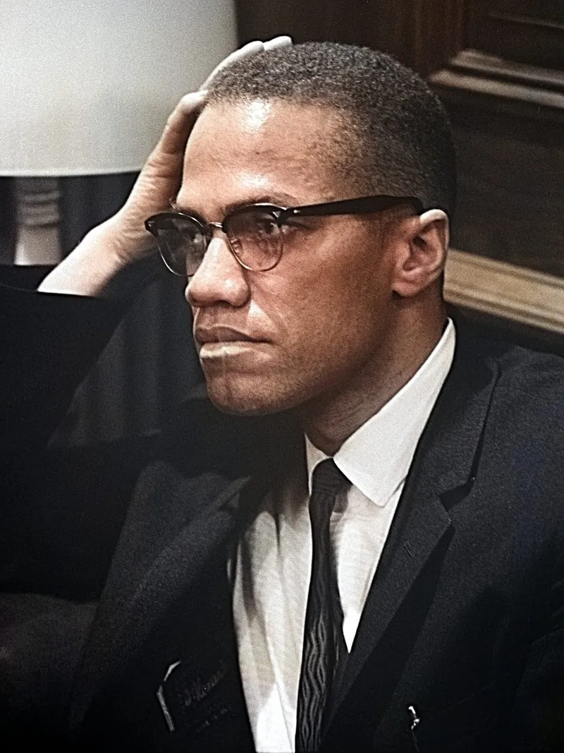 Malcolm X's House Negro and Field Negro Analogy