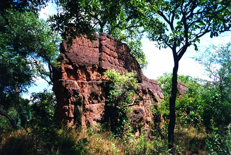 Sungbo's Eredo: A 100-Mile Wall in Nigeria That Took a Century to Rediscover
