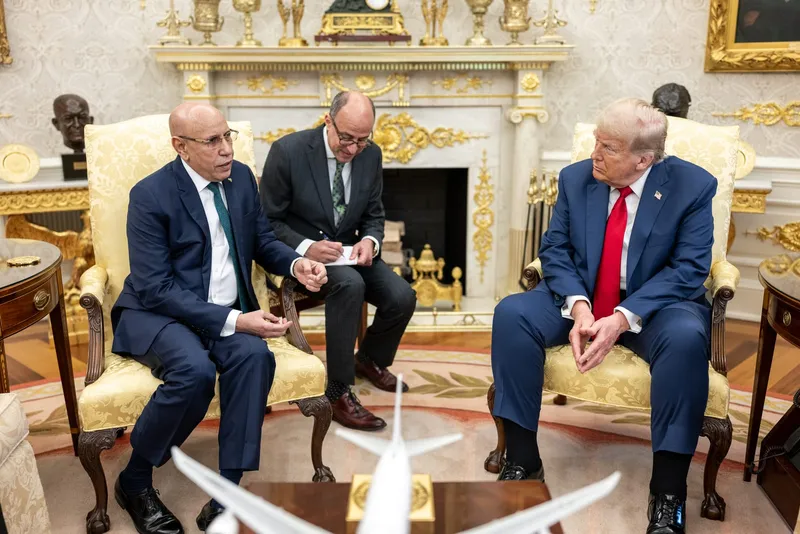 Trump's July 2025 White House Summit With Five West African Leaders