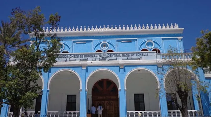 Turkey Paid Off Somalia's Overdue IMF Arrears in 2020, Not All Its Debt