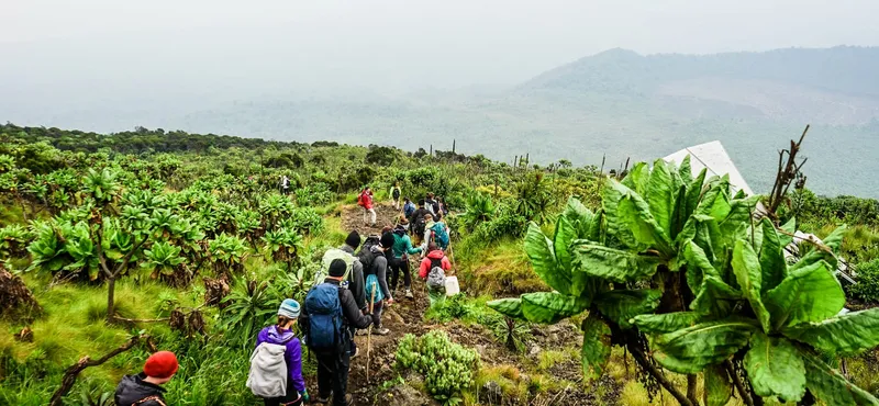 Virunga, Africa's Oldest National Park, Born as a Colonial Science Reserve
